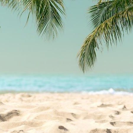 Amazing Beach Apartment 库列拉 外观 照片