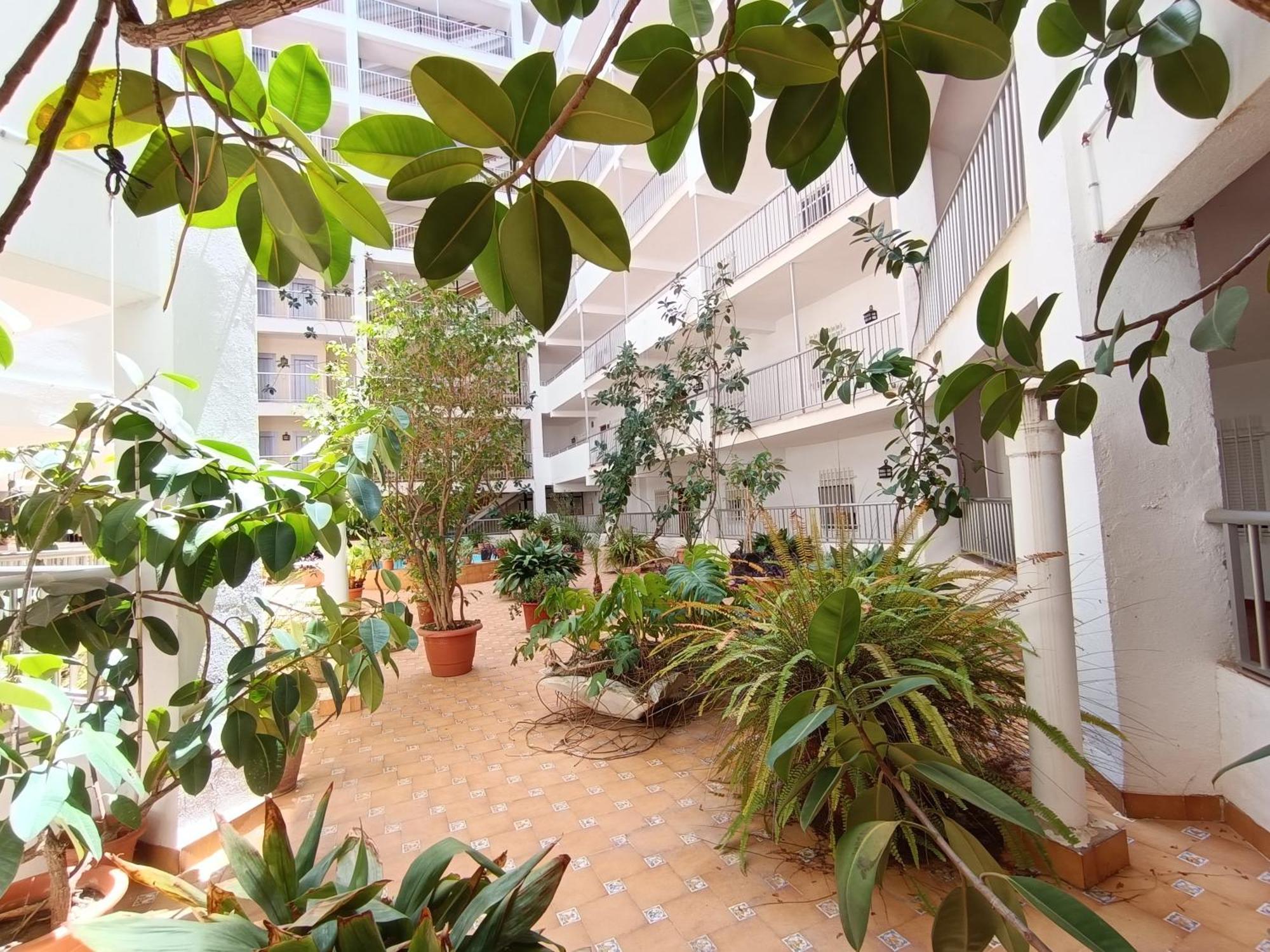 Amazing Beach Apartment 库列拉 外观 照片