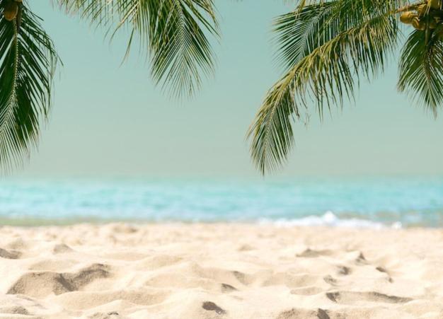 Amazing Beach Apartment 库列拉 外观 照片